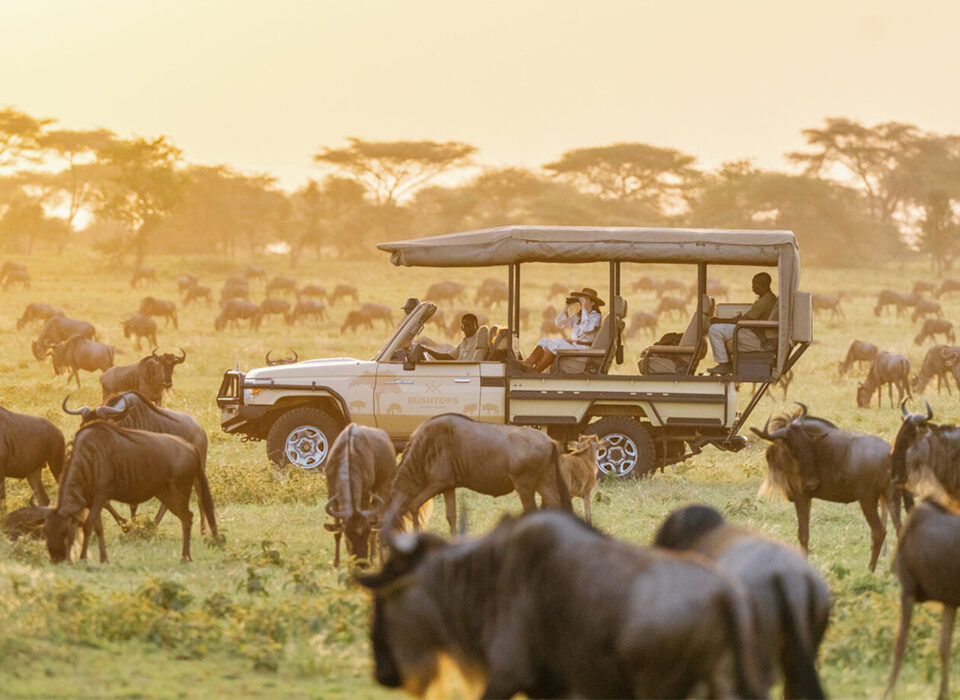 How to Plan a Honeymoon Adventure in Maasai Mara National Reserve