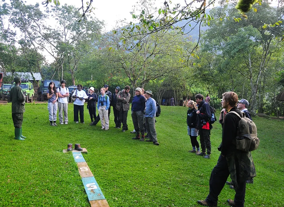 Start and End Time for Gorilla Trekking in Bwindi Impenetrable National Park