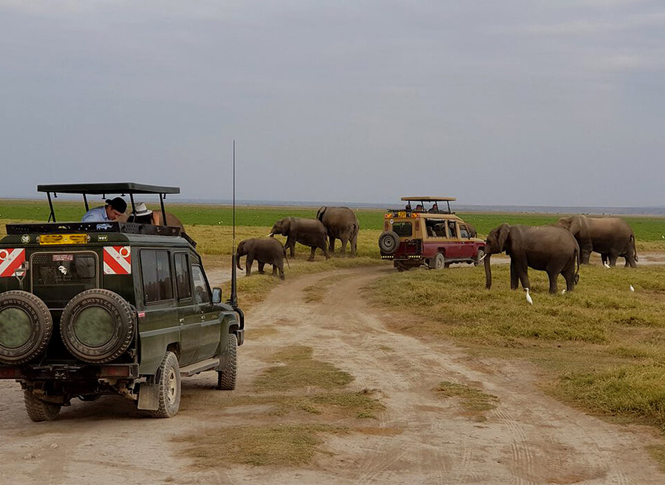 The Cost of a Game Drive in Nairobi National Park