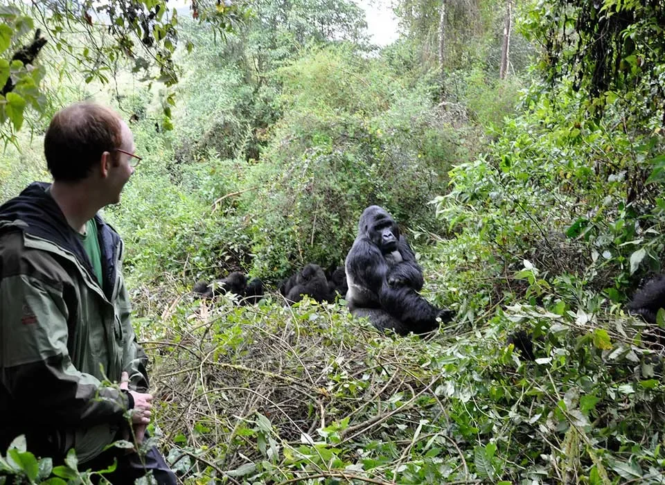 Gorilla and Chimpanzee Trekking Rules in Uganda