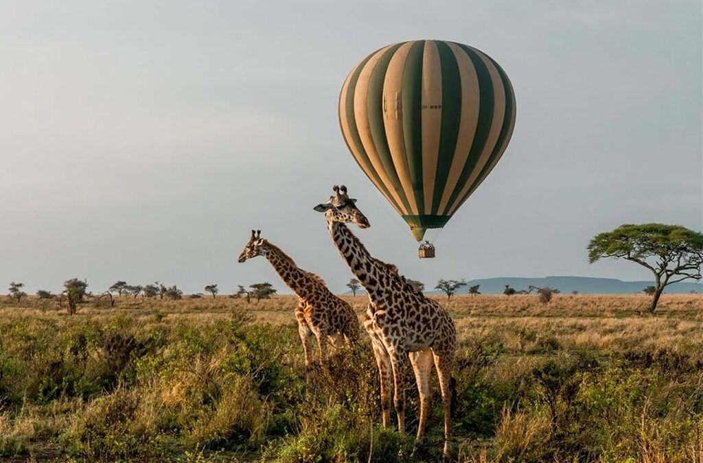 Hot Air Balloon Experience in Murchison Falls National Park - Uganda