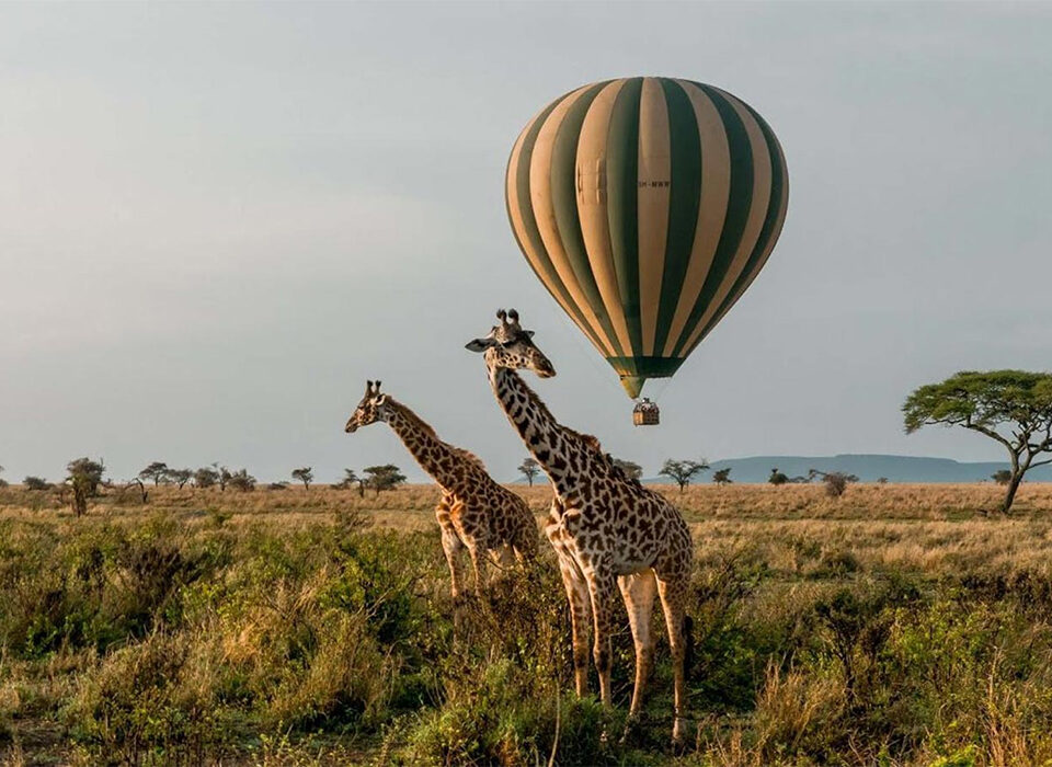 Hot Air Balloon Experience in Murchison Falls National Park - Uganda