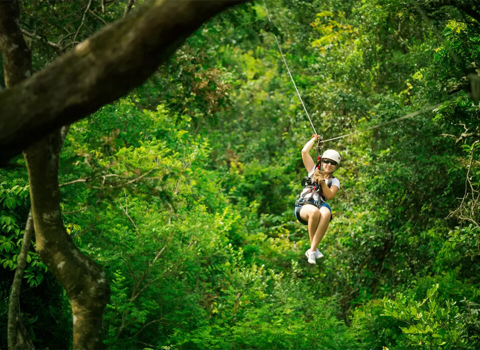 Zip Lining Experience in Uganda – Mabira Forest