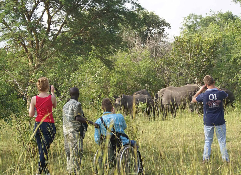 Top Tourist Attractions in Uganda for 2025-2026 Adventure