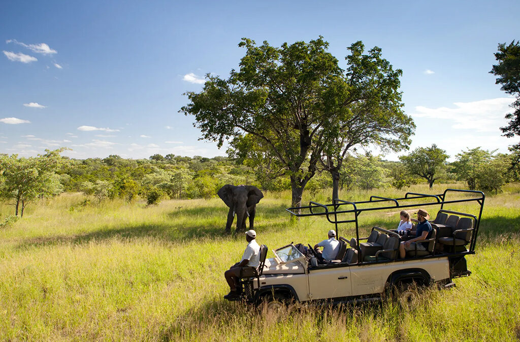 8 Best National Parks in Africa — From Vast Deserts to Rainforests