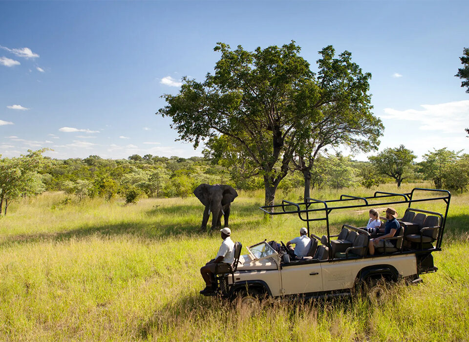 8 Best National Parks in Africa — From Vast Deserts to Rainforests