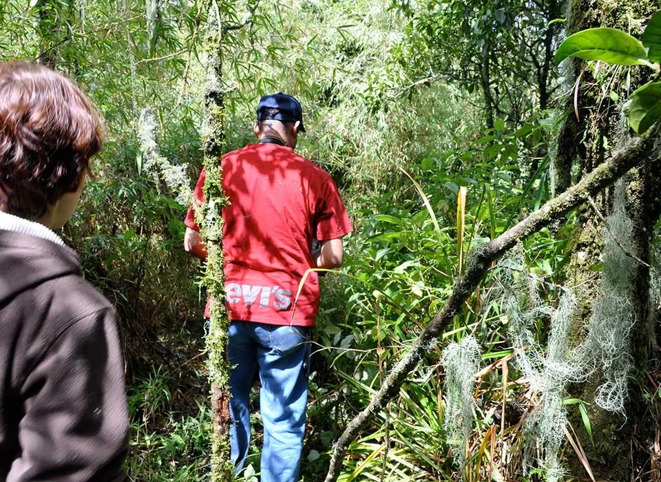A Day in the Life of a Gorilla Trekker in Bwindi