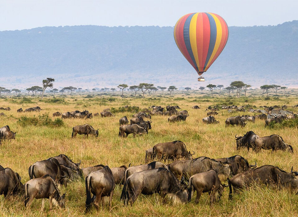 Best Time for Hot Air Balloon Safari in the Maasai Mara