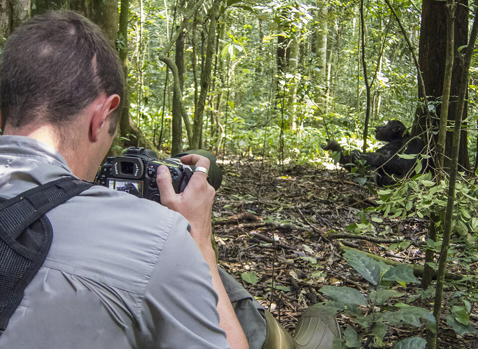 Best of Uganda Safari Highlights - 19 Days