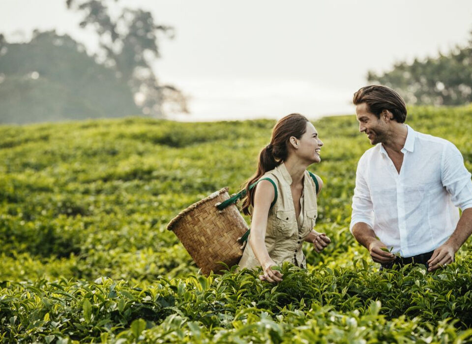 Exploring Rwanda’s Coffee and Tea Plantations