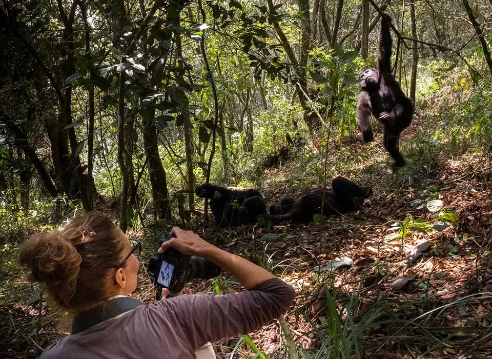 How to plan a Luxury Gorilla Tour in Uganda