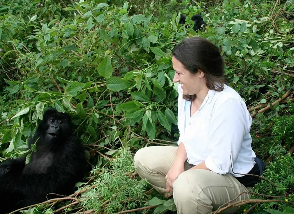Is Mountain Gorilla Trekking Safe in Uganda and Rwanda