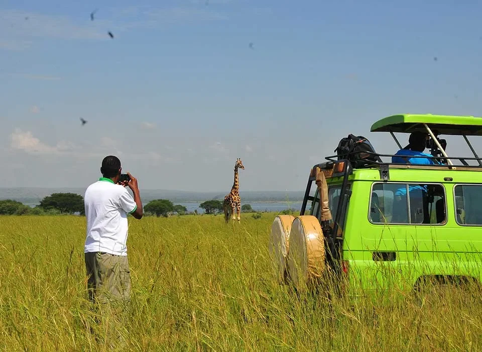 Kenya or Uganda - Choosing the Best Safari Destination