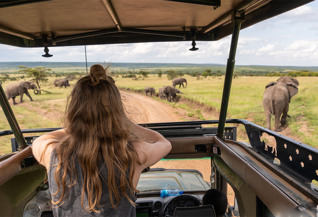 Solo African Safaris for 2025-2026