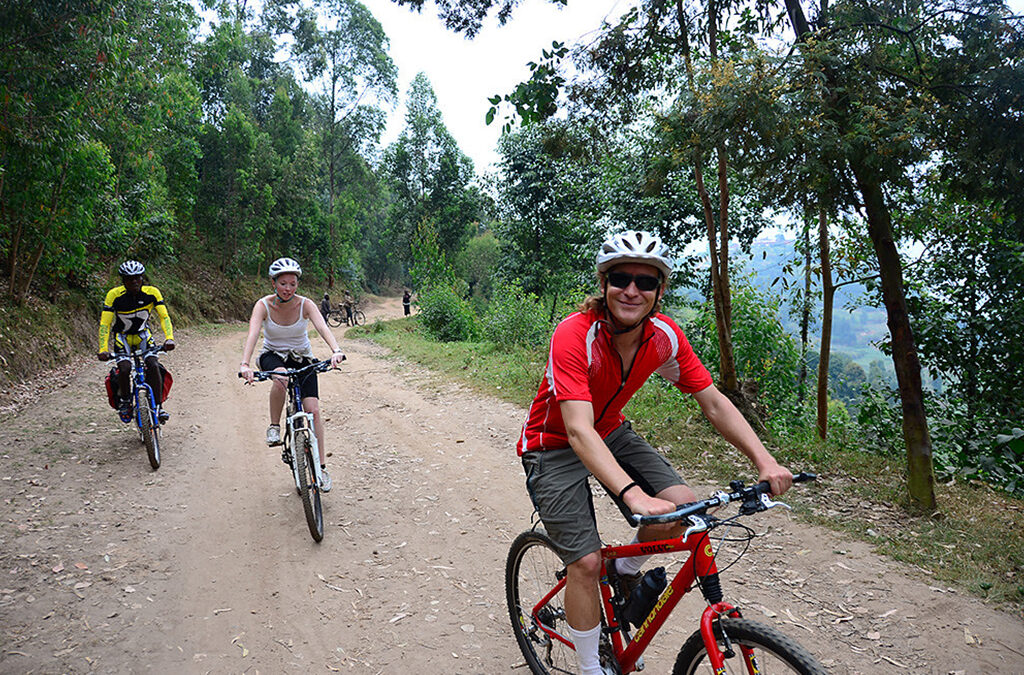 Mountain Biking Experience in Volcanoes National Park