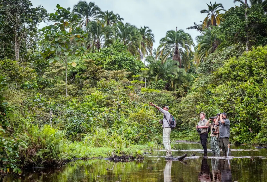 8 Best National Parks in Africa - From Vast Deserts to Rainforests