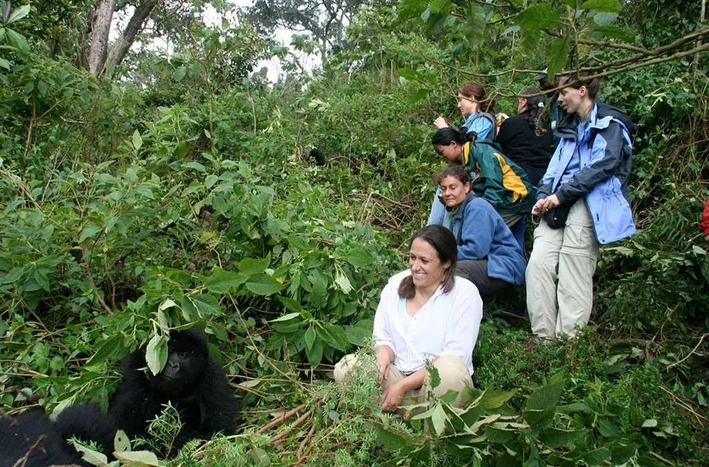 Rwanda Gorilla Tour and Masai Mara – 8 Days