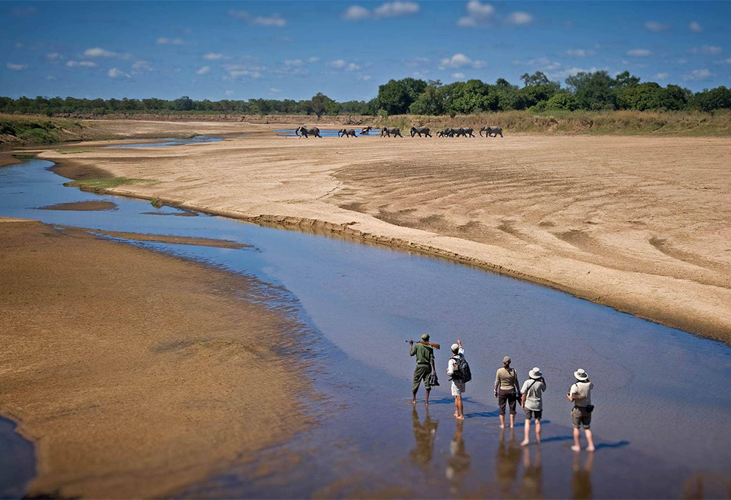8 Best National Parks in Africa - From Vast Deserts to Rainforests