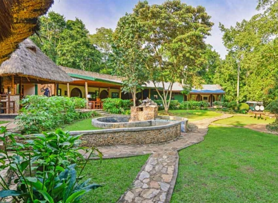 Staying at Primate Lodge Kibale During Chimpanzee Trekking in Uganda