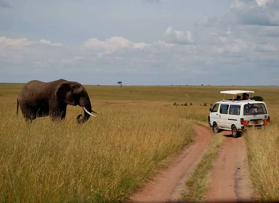 The 9 top places for game drives in Kenya