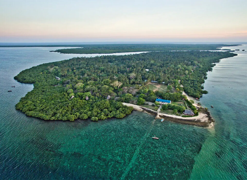 Visiting Mafia Island in Tanzania – All You Need To Know