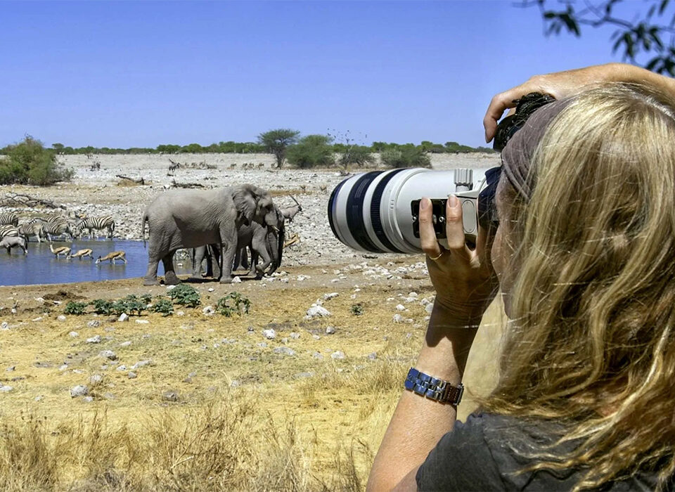 Wildlife Photography Tips for Your Kenyan Safari