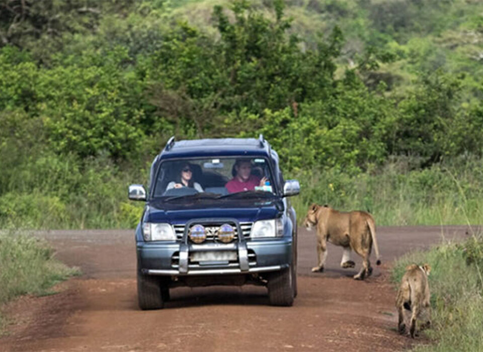 Self-Drive Safari in Rwanda – Is It Possible
