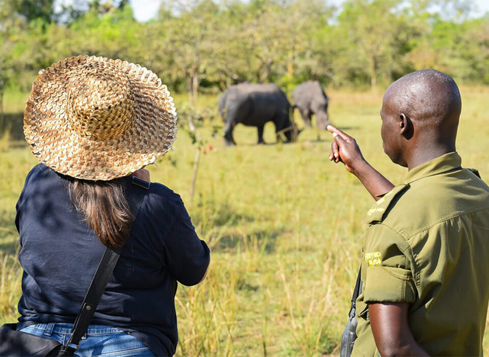 The Ultimate 10-Day Uganda Wildlife Safari Itinerary