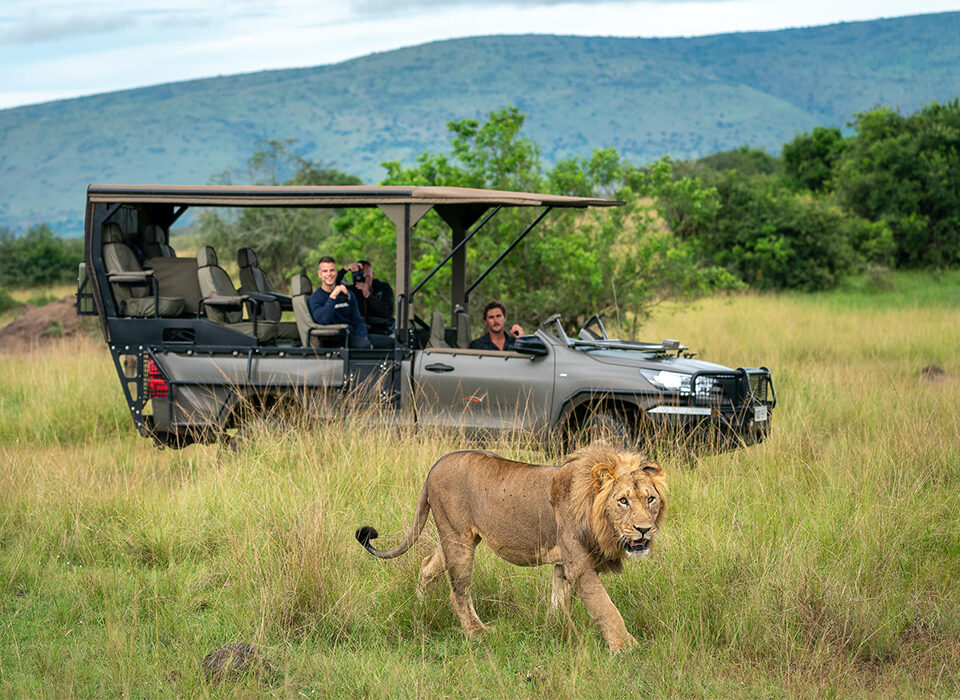 Top 3 Countries to go on African Safari in December