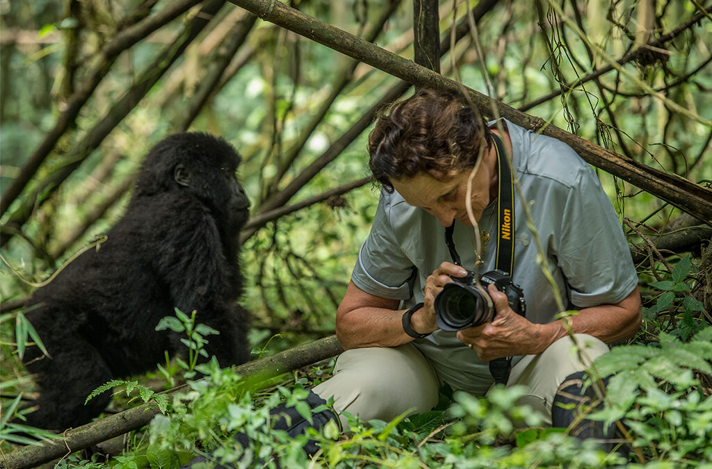 Top Five Primates to See on an East African Safari