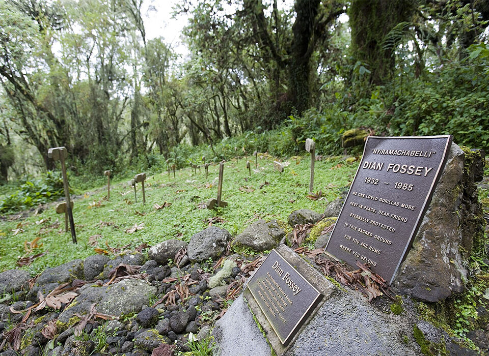 Top Reasons to Visit Rwanda Beyond Gorilla Trekking