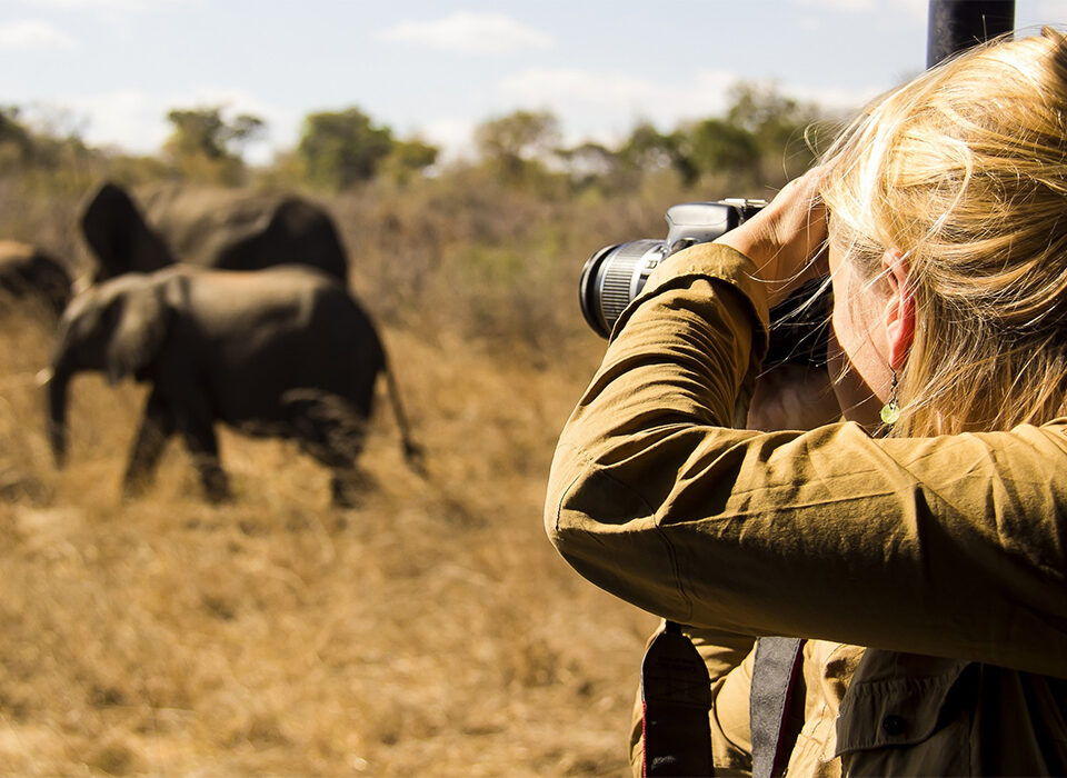 Top Wildlife Photography Tips for an East African Safari