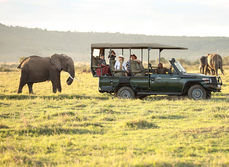 14 Days Kenya & Uganda: From Maasai Mara to Bwindi