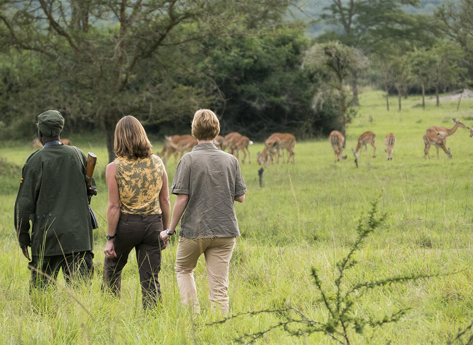 Best Parks in Uganda for Walking Safaris