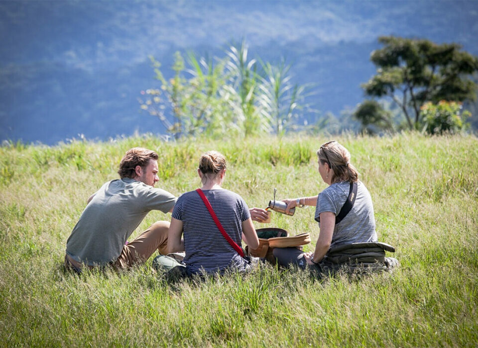 Best Picnic Spots Around Bwindi