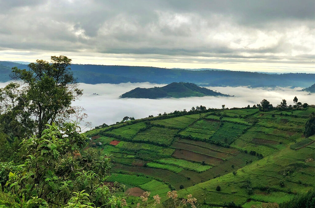 Fishing Trips on Lake Mulehe in Kisoro District