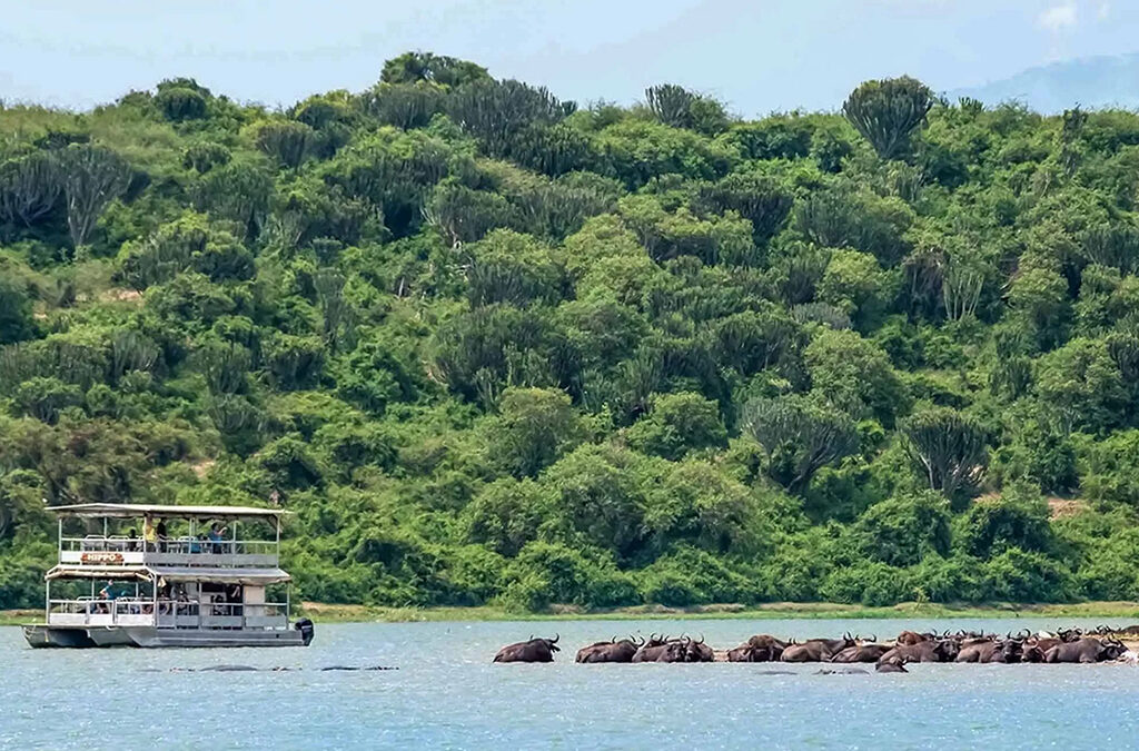 Gorilla Safari in Uganda and Kazinga Channel Boat Cruise