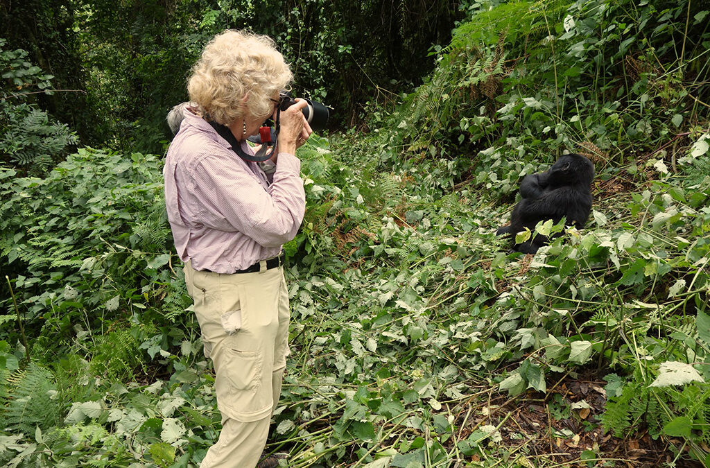 Gorilla Trekking in Bwindi – Uganda after AFCON 2027