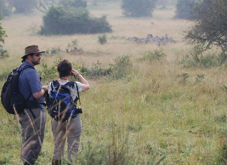 Honeymoon Safari Ideas at Lake Mburo National Park