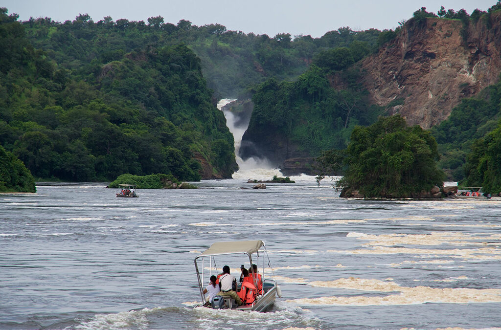 How to Combine Murchison Falls and Budongo Forest Safari