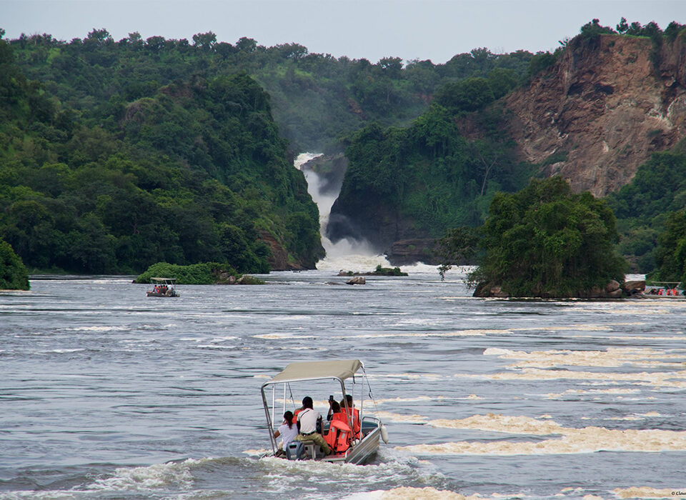 How to Combine Murchison Falls and Budongo Forest Safari