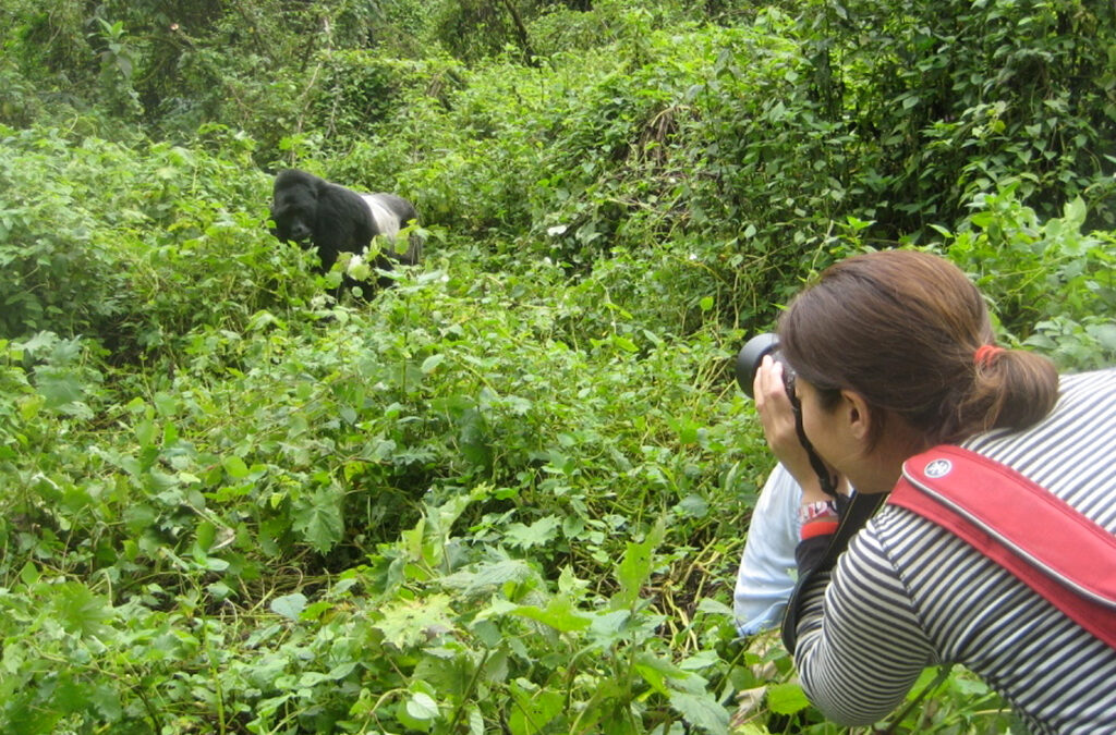 How to plan Gorilla Trekking in Rwanda from Israel