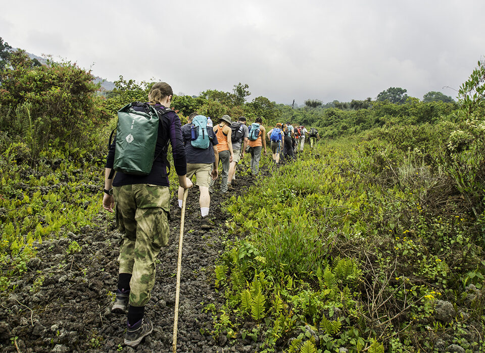 Safety Tips for Rwanda-Congo Safari