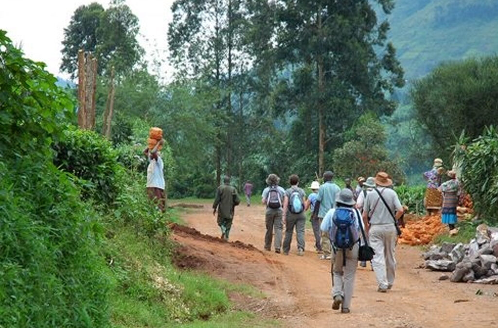 Small Group Tours to Bwindi - What to Expect
