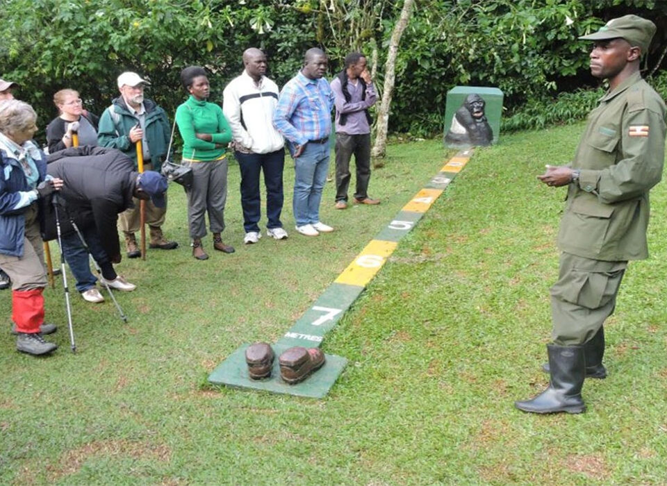 What Happens If I Arrive Late for the Gorilla Trek?