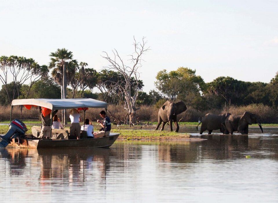 Why Selous Game Reserve is Tanzania's Hidden Gem
