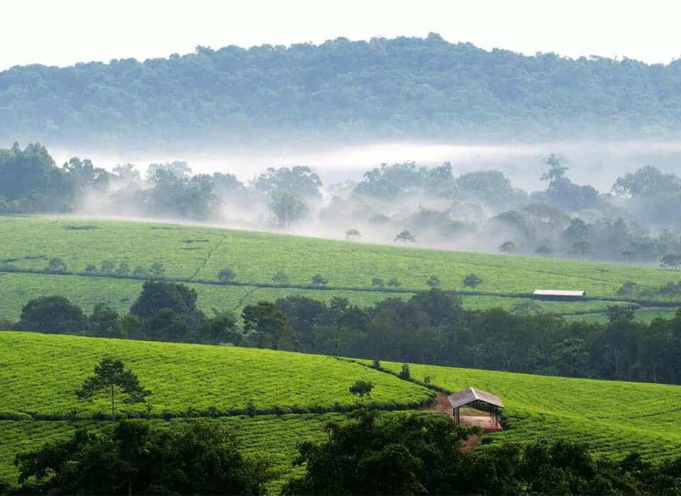 Climate and Weather Guide for Rwanda and Uganda