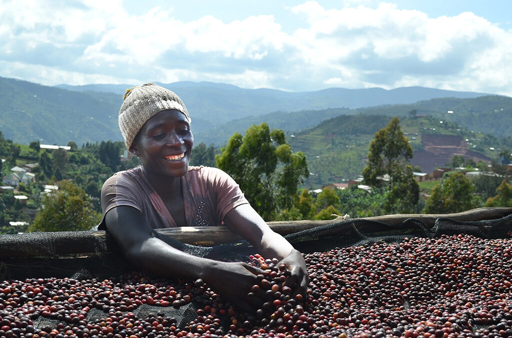 Coffee Tour Experience in Burundi