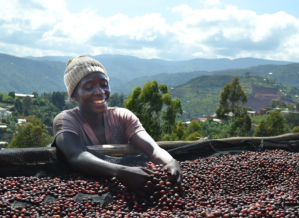 Coffee Tour Experience in Burundi