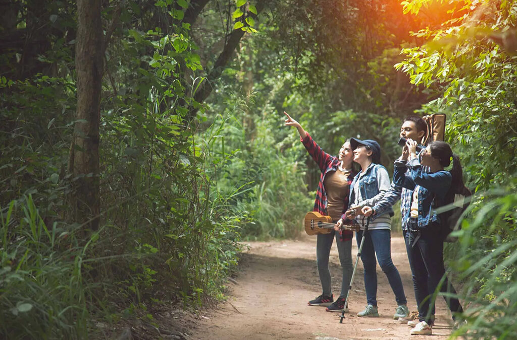 Family-Friendly Activities in Kibale Forest